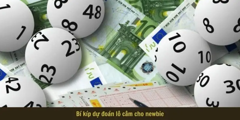 Bí kíp dự đoán lô câm cho newbie