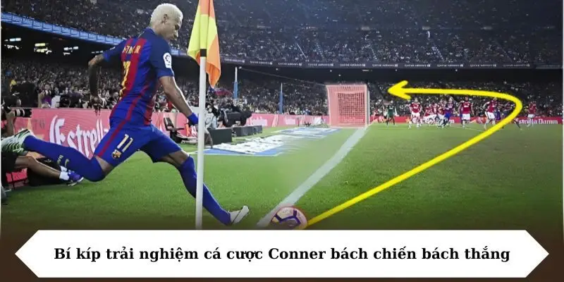 Bí kíp trải nghiệm cá cược Conner bách chiến bách thắng