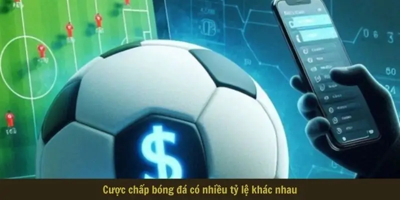 Cược chấp bóng đá có nhiều tỷ lệ khác nhau
