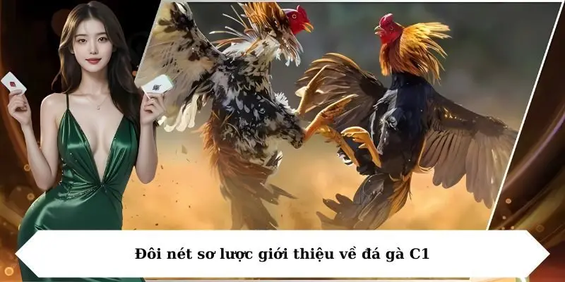Đôi nét sơ lược giới thiệu về đá gà C1