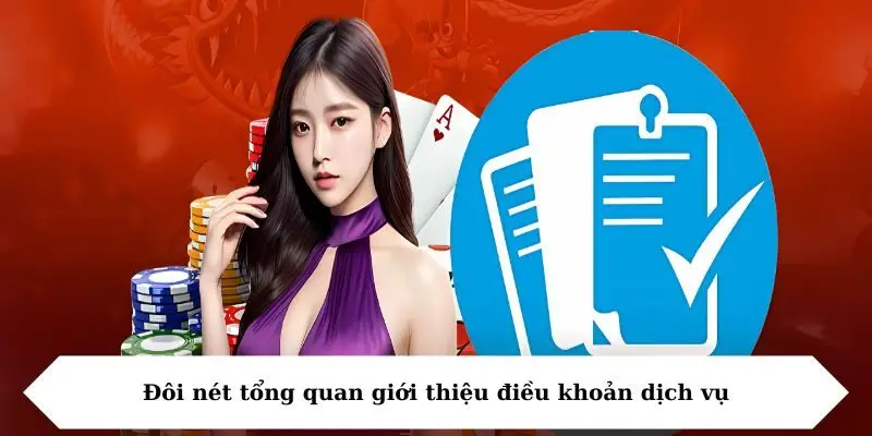 Đôi nét tổng quan giới thiệu điều khoản dịch vụ