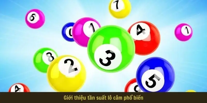 Giới thiệu tần suất lô câm phổ biến