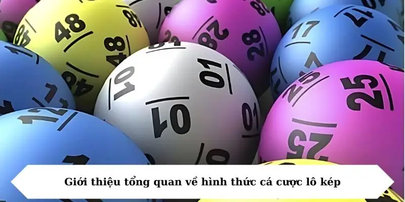 Giới thiệu tổng quan về hình thức cá cược lô kép