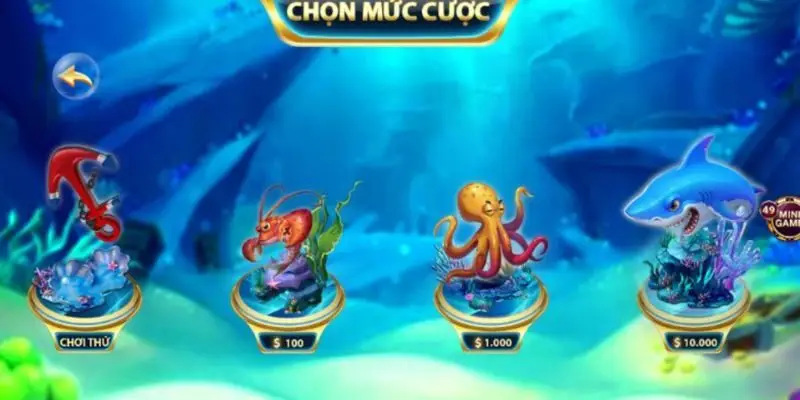 Nên tham gia game slot với mức cược chỉ 10k