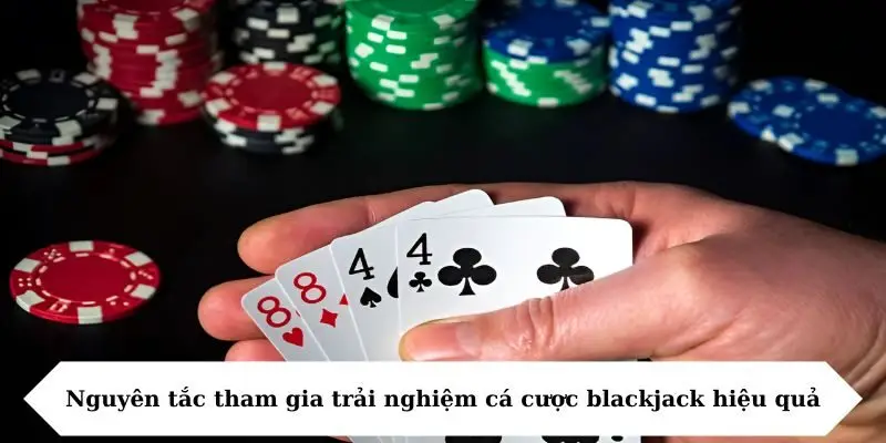 Nguyên tắc tham gia trải nghiệm cá cược blackjack hiệu quả