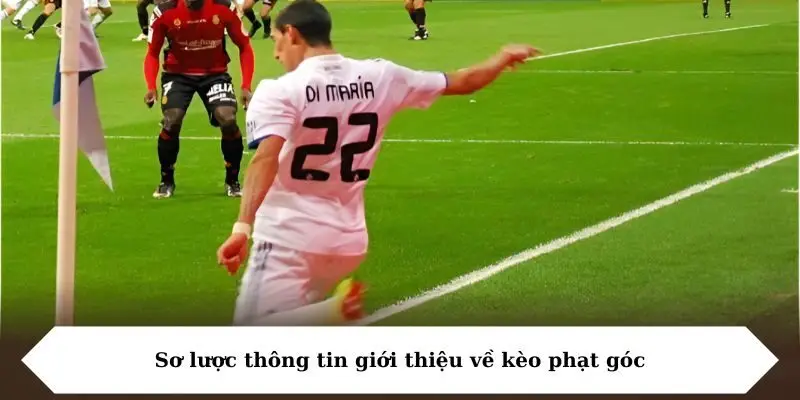 Sơ lược thông tin giới thiệu về kèo phạt góc