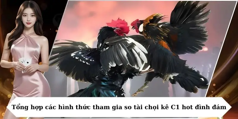 Tổng hợp các hình thức tham gia so tài chọi kê C1 hot đình đám