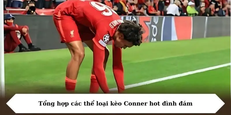 Tổng hợp các thể loại kèo Conner hot đình đám