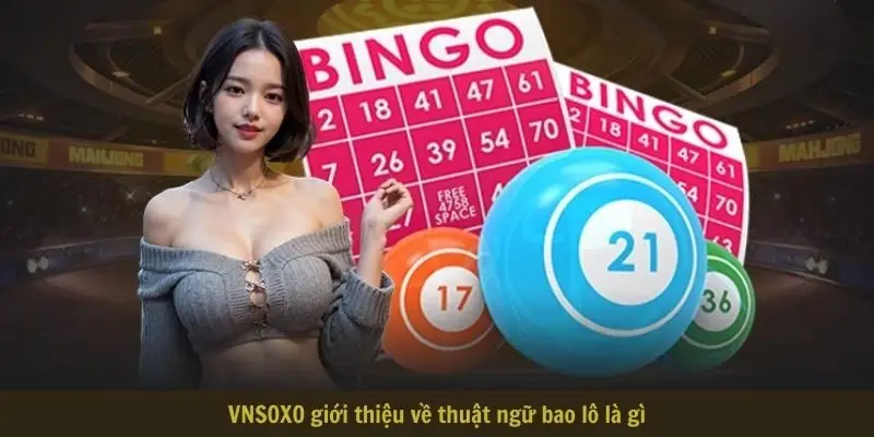 VNSOXO giới thiệu về thuật ngữ bao lô là gì