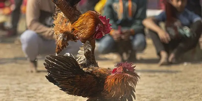 Hãy tham gia VNSOXO để được cá cược an toàn